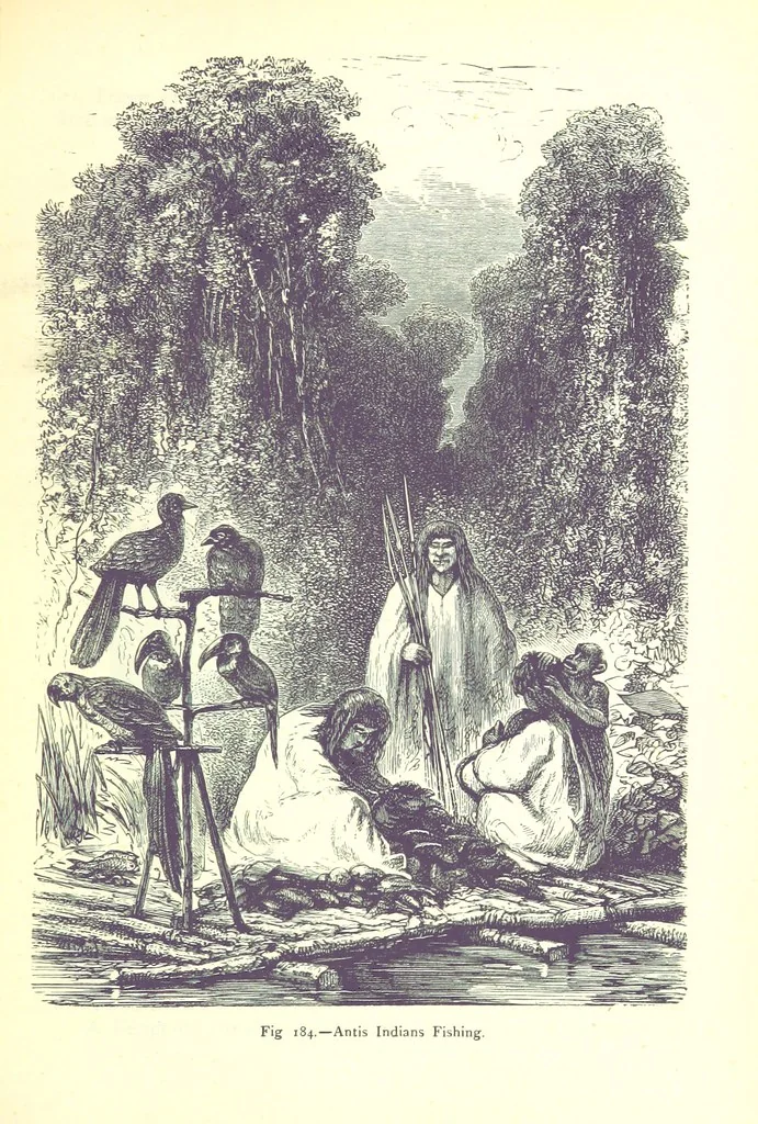 An illustration from The Human Race, ... illustrated by ... engravings on wood, and ... chromolithographs, 1875, leaf 485