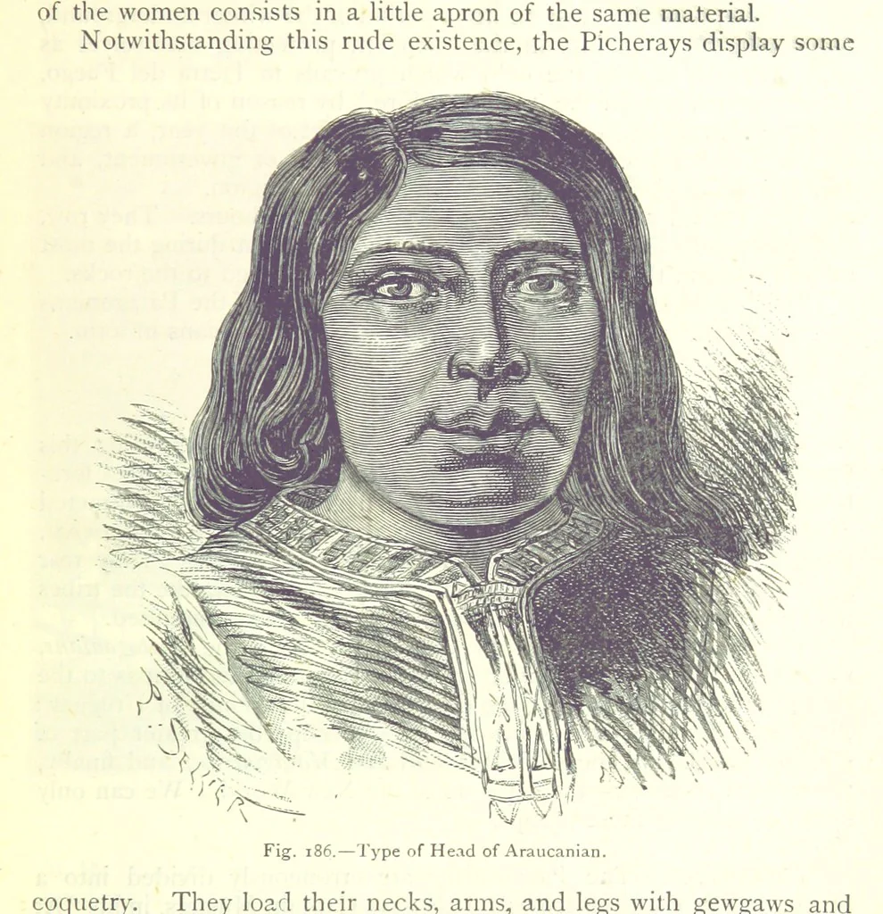 An illustration from The Human Race, ... illustrated by ... engravings on wood, and ... chromolithographs, 1875, leaf 489