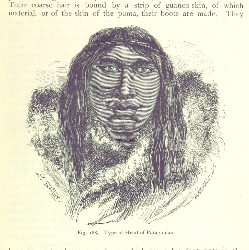 An illustration from The Human Race, ... illustrated by ... engravings on wood, and ... chromolithographs, 1875, leaf 493