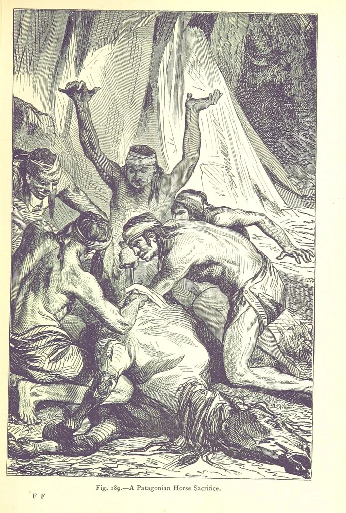 An illustration from The Human Race, ... illustrated by ... engravings on wood, and ... chromolithographs, 1875, leaf 495