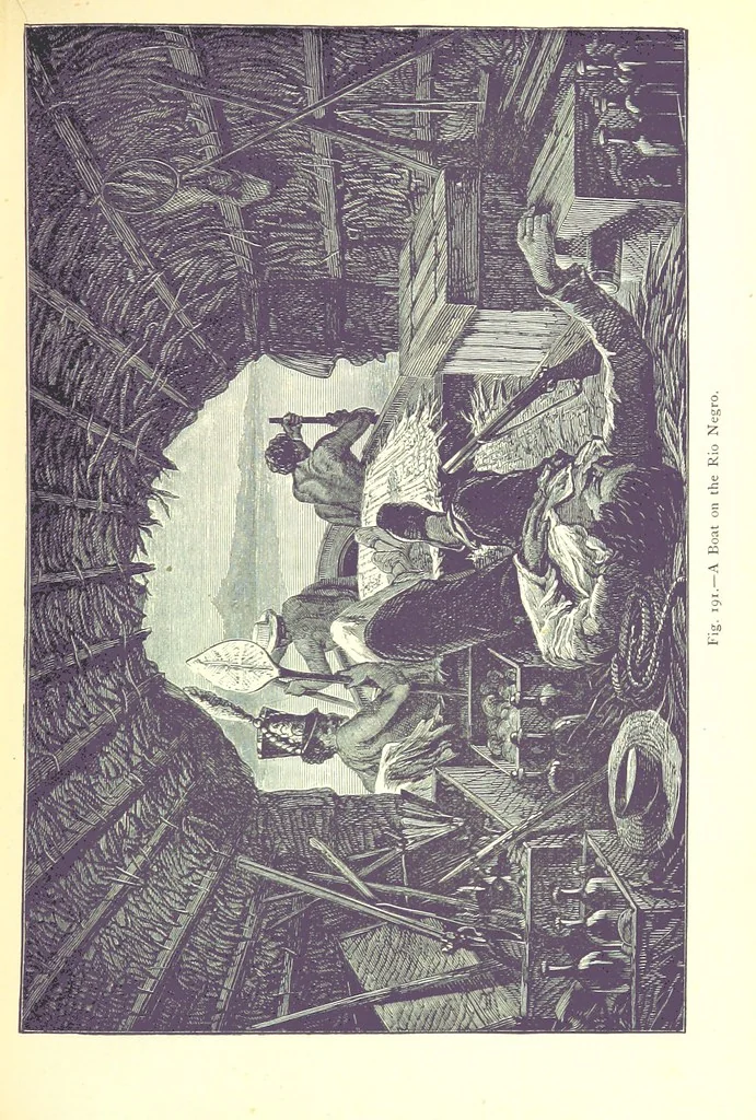 An illustration from The Human Race, ... illustrated by ... engravings on wood, and ... chromolithographs, 1875, leaf 503