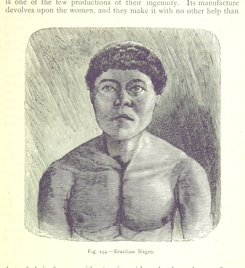 An illustration from The Human Race, ... illustrated by ... engravings on wood, and ... chromolithographs, 1875, leaf 513