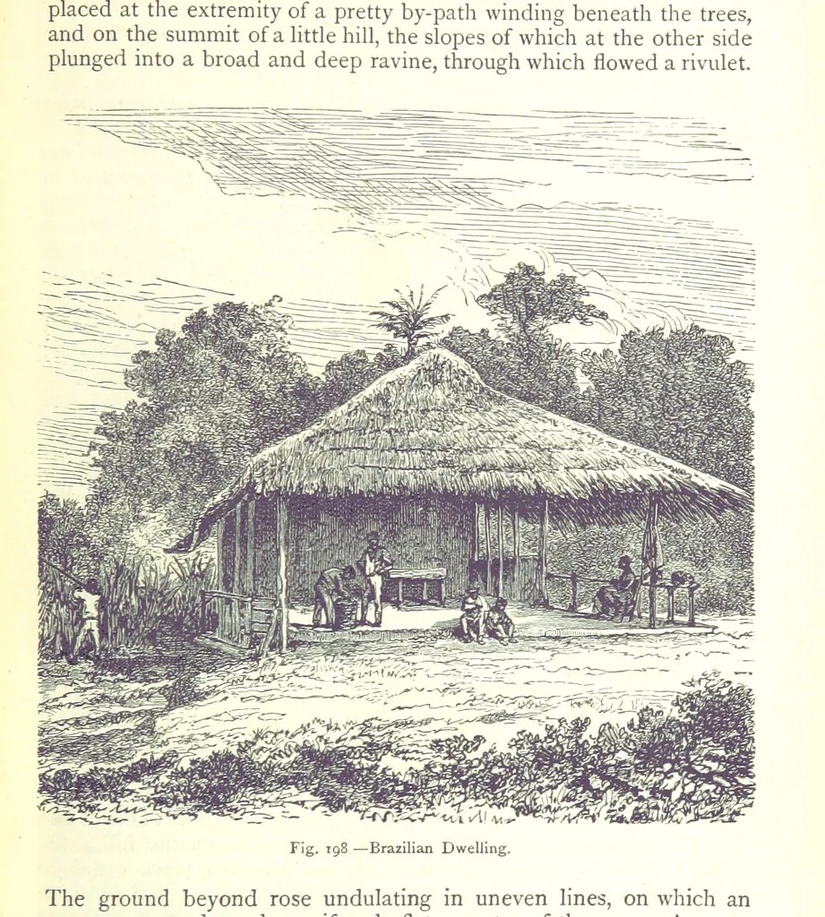 An illustration from The Human Race, ... illustrated by ... engravings on wood, and ... chromolithographs, 1875, leaf 519