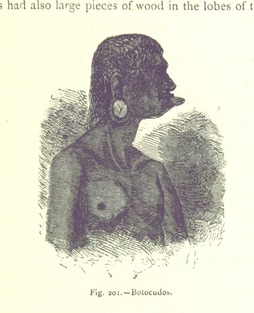 An illustration from The Human Race, ... illustrated by ... engravings on wood, and ... chromolithographs, 1875, leaf 527