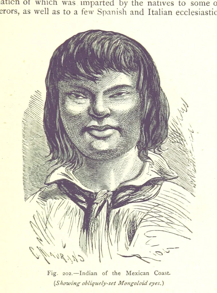 An illustration from The Human Race, ... illustrated by ... engravings on wood, and ... chromolithographs, 1875, leaf 529