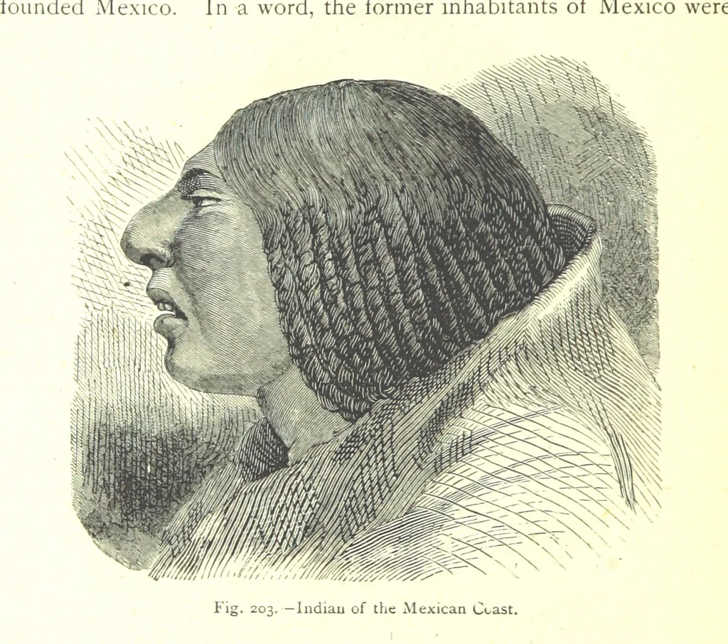 An illustration from The Human Race, ... illustrated by ... engravings on wood, and ... chromolithographs, 1875, leaf 530