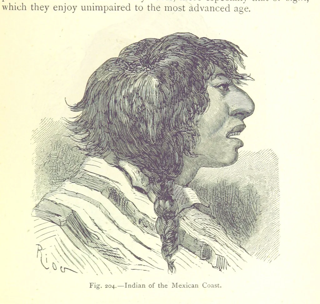 An illustration from The Human Race, ... illustrated by ... engravings on wood, and ... chromolithographs, 1875, leaf 531
