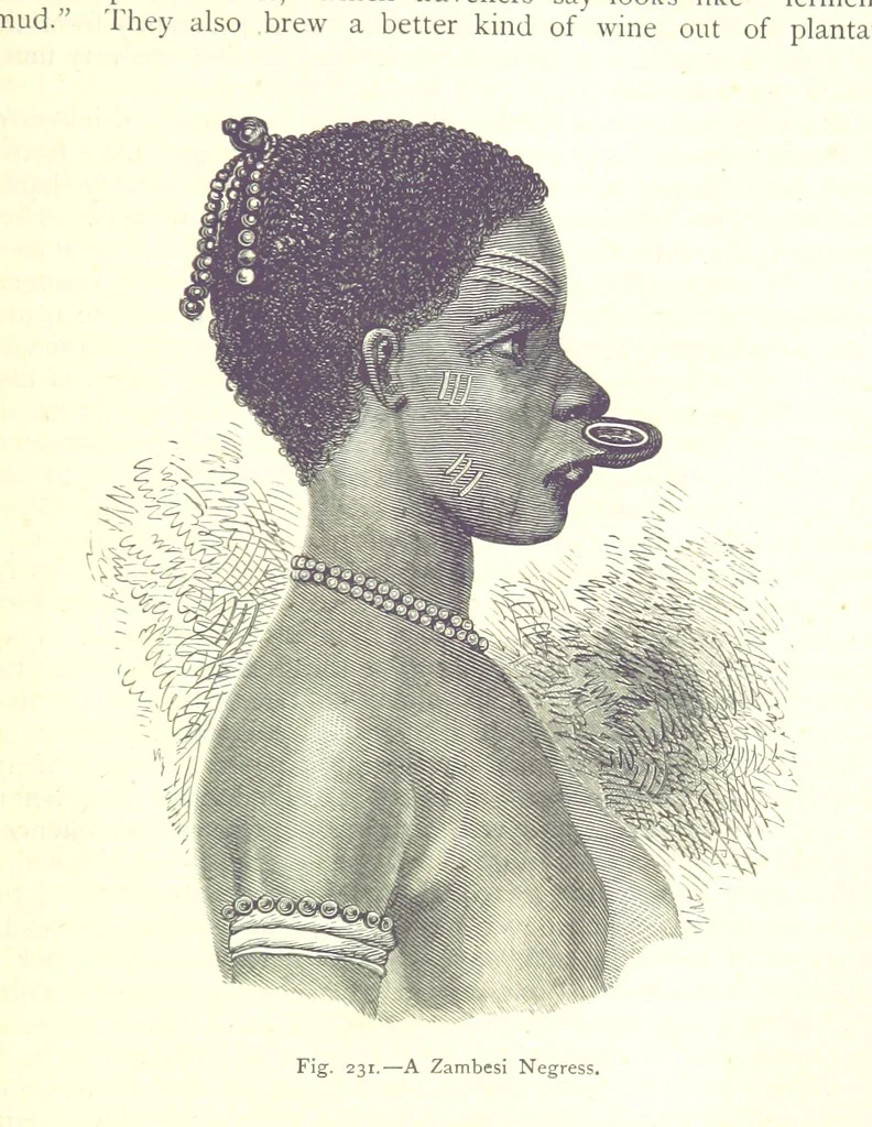 An illustration from The Human Race, ... illustrated by ... engravings on wood, and ... chromolithographs, 1875, leaf 599
