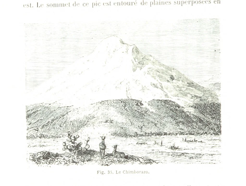 An illustration from La Terre et les Mers, ou description physique du globe. Ouvrage contenant 170 vignettes dessignées par K. Girardet, Lebreton, ... et 20 cartes physiques, 1864, leaf 156