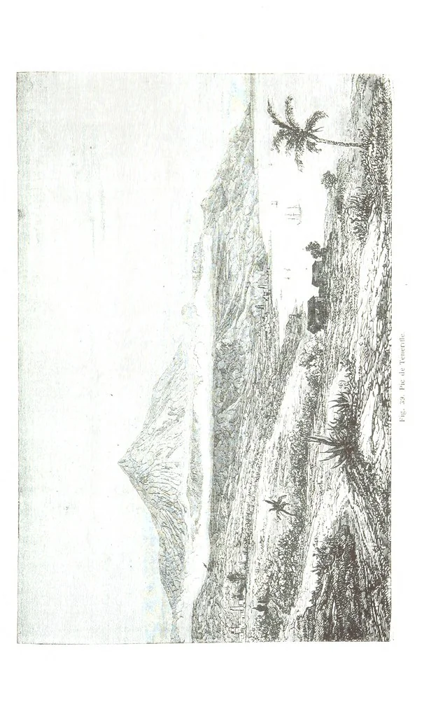An illustration from La Terre et les Mers, ou description physique du globe. Ouvrage contenant 170 vignettes dessignées par K. Girardet, Lebreton, ... et 20 cartes physiques, 1864, leaf 189