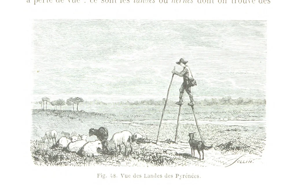 An illustration from La Terre et les Mers, ou description physique du globe. Ouvrage contenant 170 vignettes dessignées par K. Girardet, Lebreton, ... et 20 cartes physiques, 1864, leaf 208