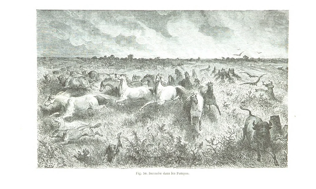 An illustration from La Terre et les Mers, ou description physique du globe. Ouvrage contenant 170 vignettes dessignées par K. Girardet, Lebreton, ... et 20 cartes physiques, 1864, leaf 213