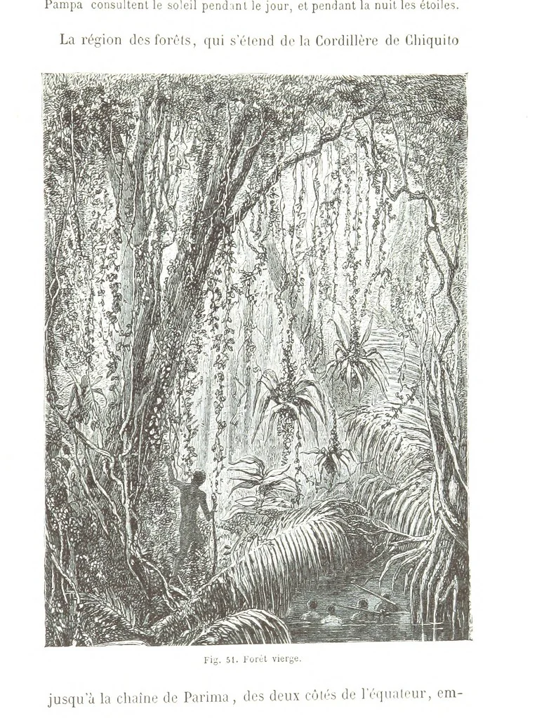 An illustration from La Terre et les Mers, ou description physique du globe. Ouvrage contenant 170 vignettes dessignées par K. Girardet, Lebreton, ... et 20 cartes physiques, 1864, leaf 215