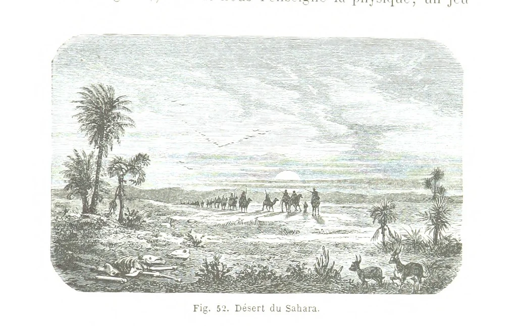 An illustration from La Terre et les Mers, ou description physique du globe. Ouvrage contenant 170 vignettes dessignées par K. Girardet, Lebreton, ... et 20 cartes physiques, 1864, leaf 217