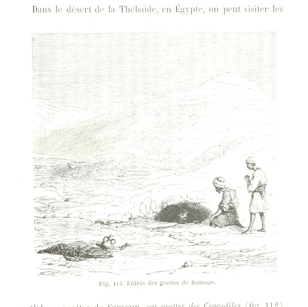An illustration from La Terre et les Mers, ou description physique du globe. Ouvrage contenant 170 vignettes dessignées par K. Girardet, Lebreton, ... et 20 cartes physiques, 1864, leaf 395