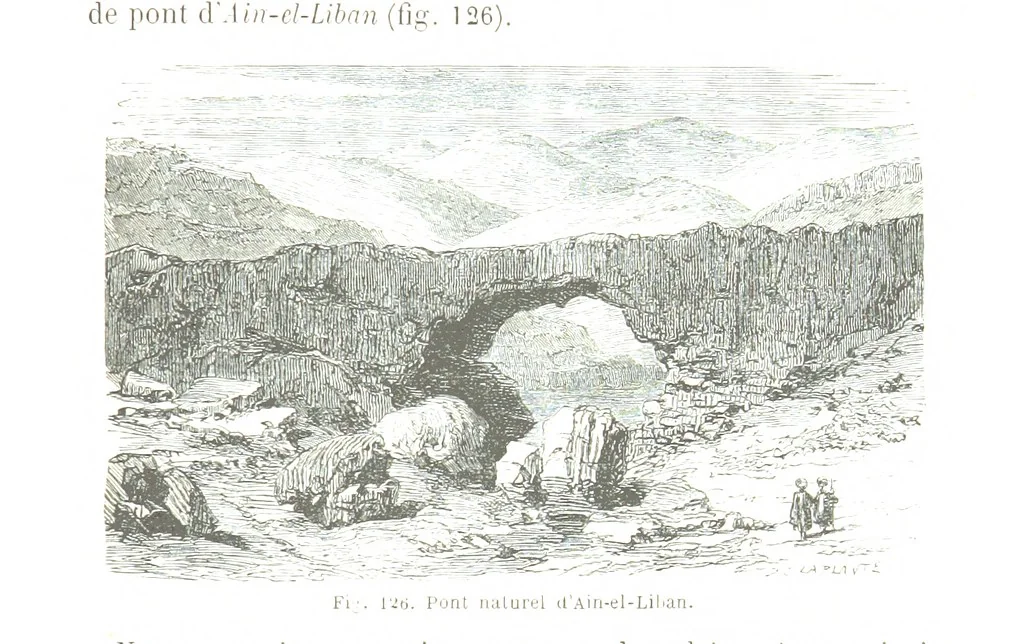 An illustration from La Terre et les Mers, ou description physique du globe. Ouvrage contenant 170 vignettes dessignées par K. Girardet, Lebreton, ... et 20 cartes physiques, 1864, leaf 435