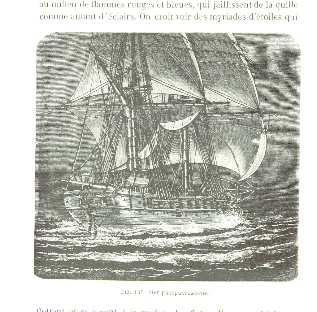 An illustration from La Terre et les Mers, ou description physique du globe. Ouvrage contenant 170 vignettes dessignées par K. Girardet, Lebreton, ... et 20 cartes physiques, 1864, leaf 456