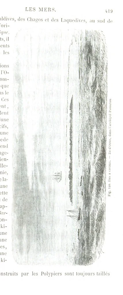 An illustration from La Terre et les Mers, ou description physique du globe. Ouvrage contenant 170 vignettes dessignées par K. Girardet, Lebreton, ... et 20 cartes physiques, 1864, leaf 463