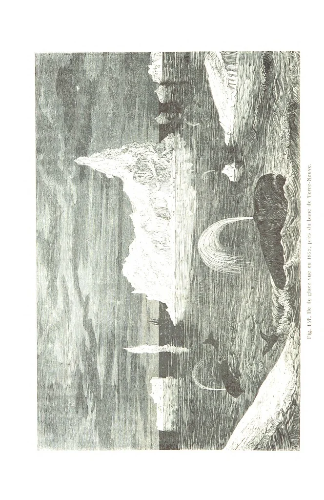 An illustration from La Terre et les Mers, ou description physique du globe. Ouvrage contenant 170 vignettes dessignées par K. Girardet, Lebreton, ... et 20 cartes physiques, 1864, leaf 526
