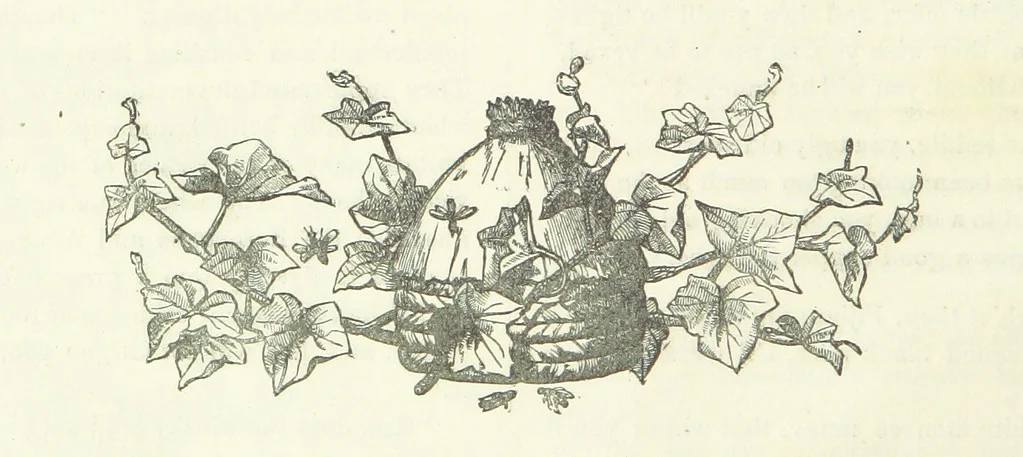 An illustration from The Fijiad; or, English Nights' Entertainments. (By an author of the Siliad [i.e. R. Emerson] and others.), 1874, leaf 30