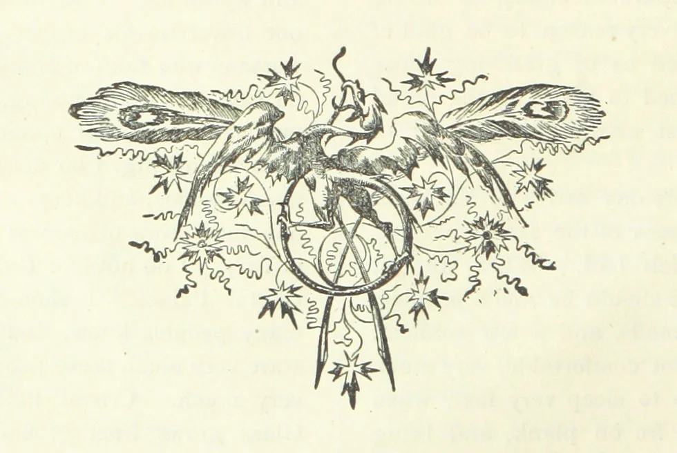 An illustration from The Fijiad; or, English Nights' Entertainments. (By an author of the Siliad [i.e. R. Emerson] and others.), 1874, leaf 40