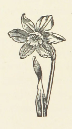 An illustration from Norman Reid, M. A. [A tale, 1890, leaf 164