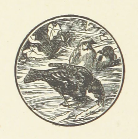 An illustration from Norman Reid, M. A. [A tale, 1890, leaf 84