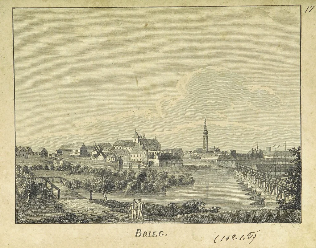 An illustration from Zeitgeschichte der Städte Schlesiens, mit Abbildungen, 1819, leaf 108