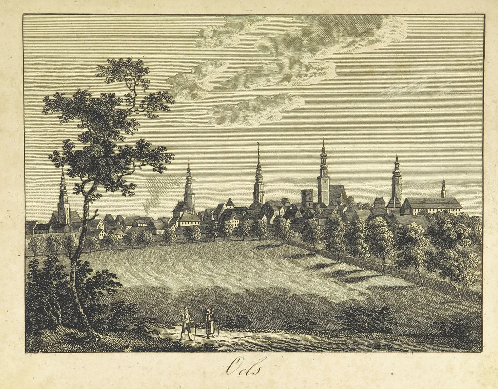 An illustration from Zeitgeschichte der Städte Schlesiens, mit Abbildungen, 1819, leaf 114