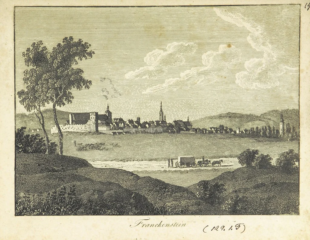 An illustration from Zeitgeschichte der Städte Schlesiens, mit Abbildungen, 1819, leaf 116