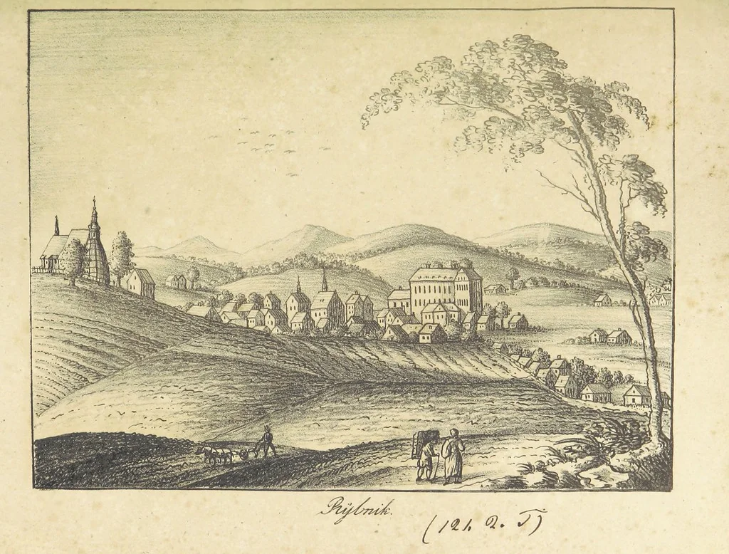 An illustration from Zeitgeschichte der Städte Schlesiens, mit Abbildungen, 1819, leaf 48