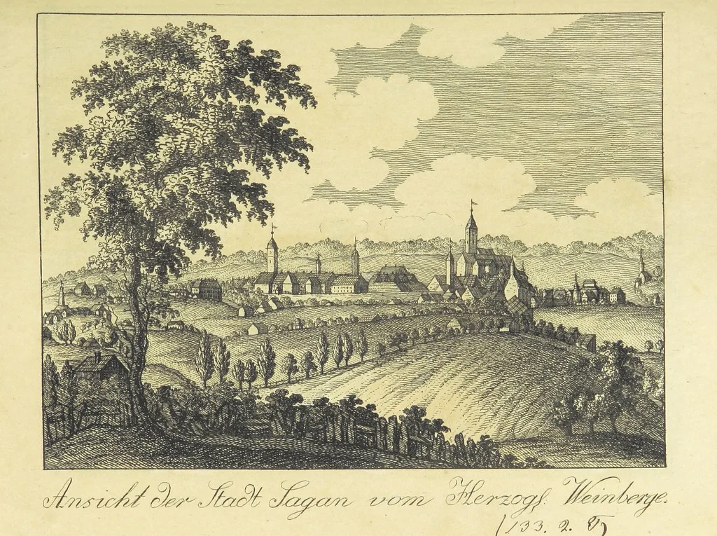 An illustration from Zeitgeschichte der Städte Schlesiens, mit Abbildungen, 1819, leaf 50