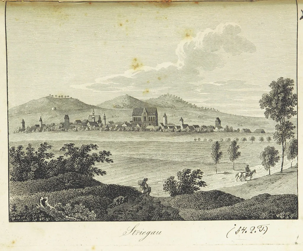 An illustration from Zeitgeschichte der Städte Schlesiens, mit Abbildungen, 1819, leaf 80