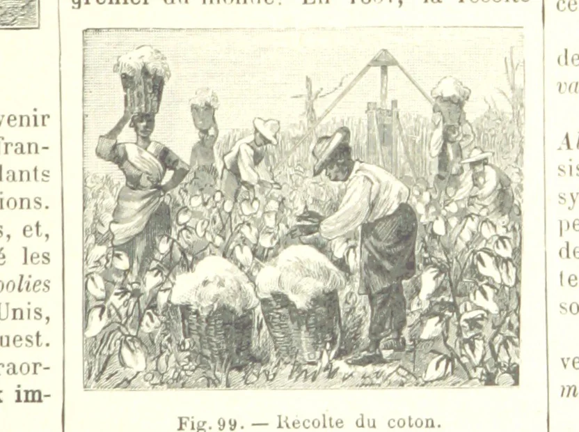 An illustration from Geographie Générale ... Avec index, etc, 1887, leaf 215