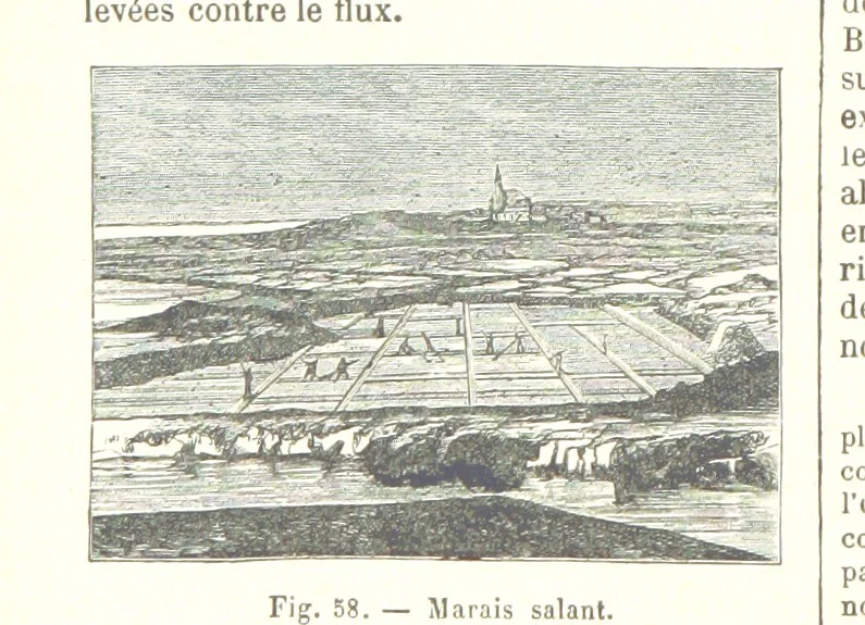 An illustration from Geographie Générale ... Avec index, etc, 1887, leaf 46