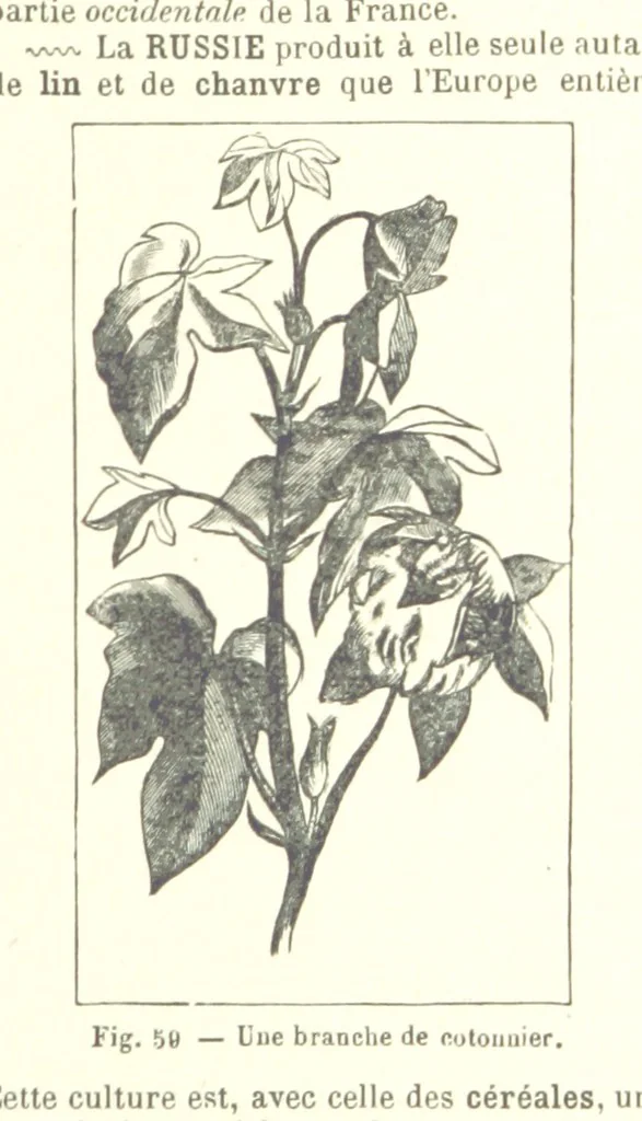 An illustration from Geographie Générale ... Avec index, etc, 1887, leaf 53
