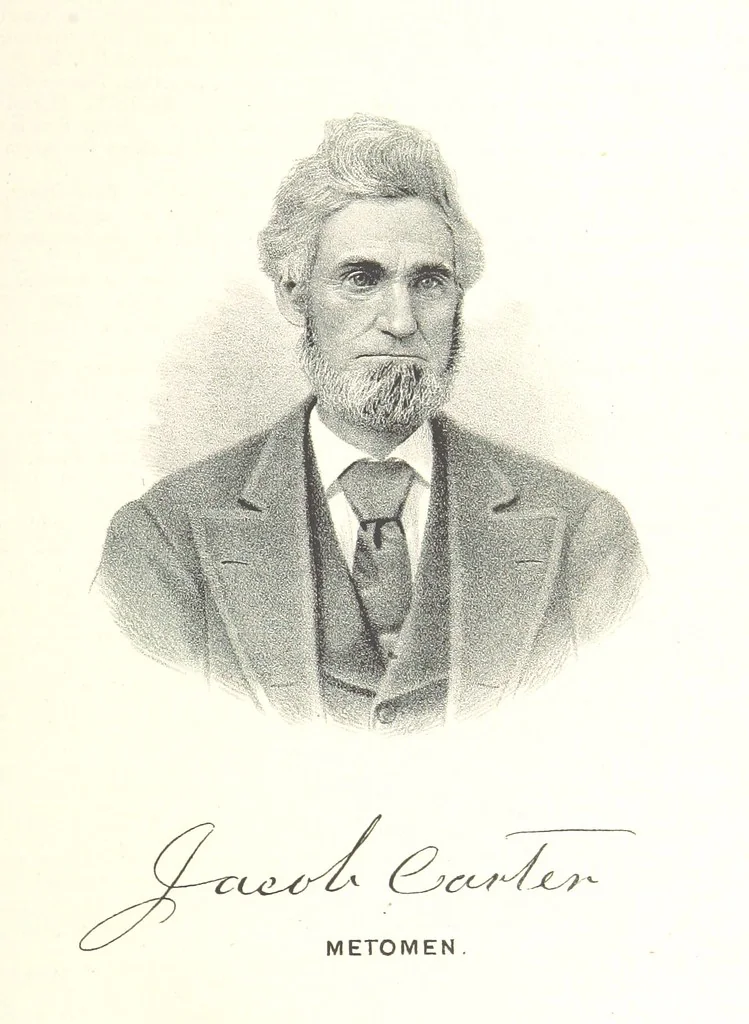 An illustration from The history of Fond du Lac County, Wisconsin, 1880, leaf 977