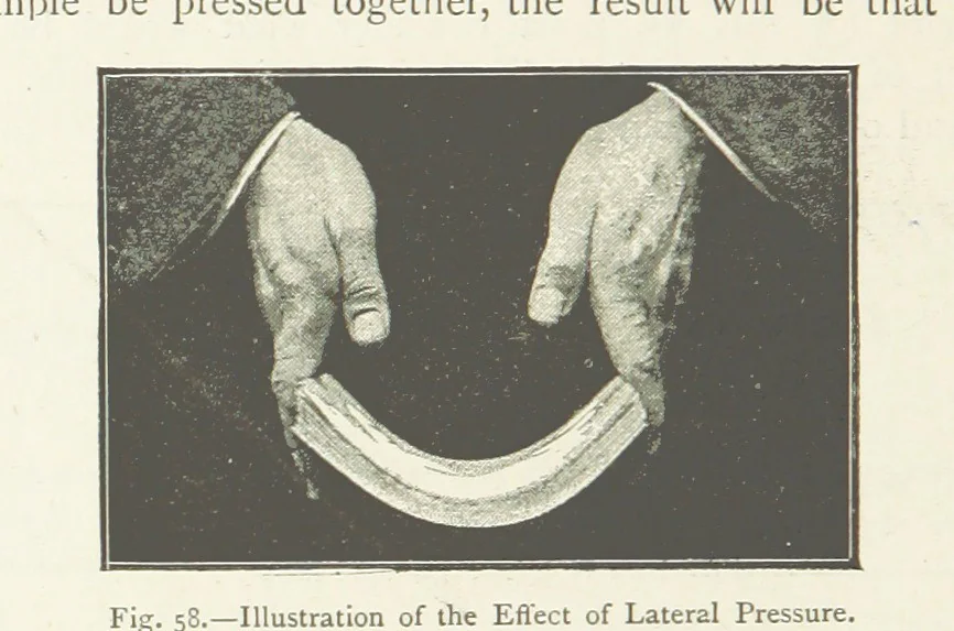 An illustration from This World of Ours. An introduction to the study of geography ... Illustrated, 1891, leaf 184