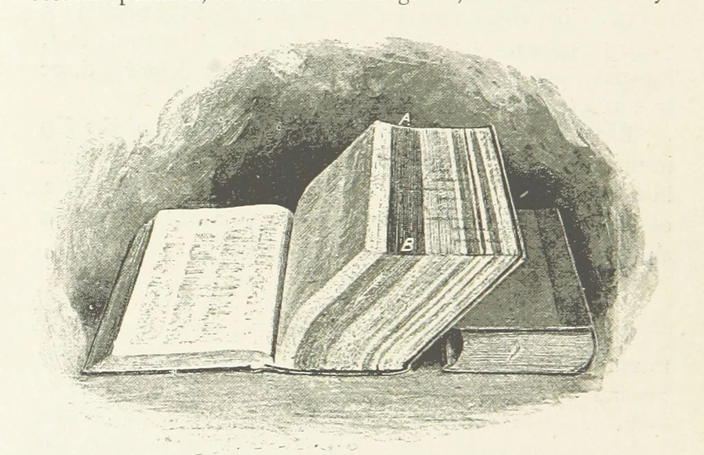 An illustration from This World of Ours. An introduction to the study of geography ... Illustrated, 1891, leaf 194