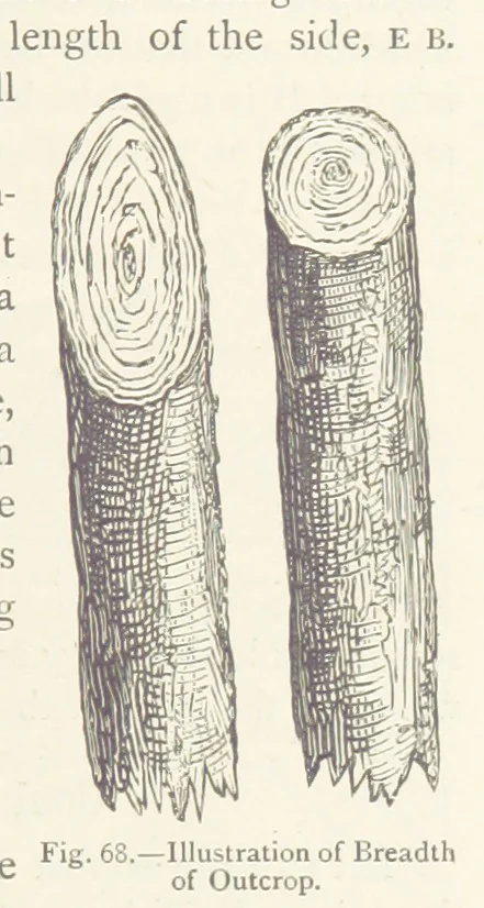 An illustration from This World of Ours. An introduction to the study of geography ... Illustrated, 1891, leaf 197