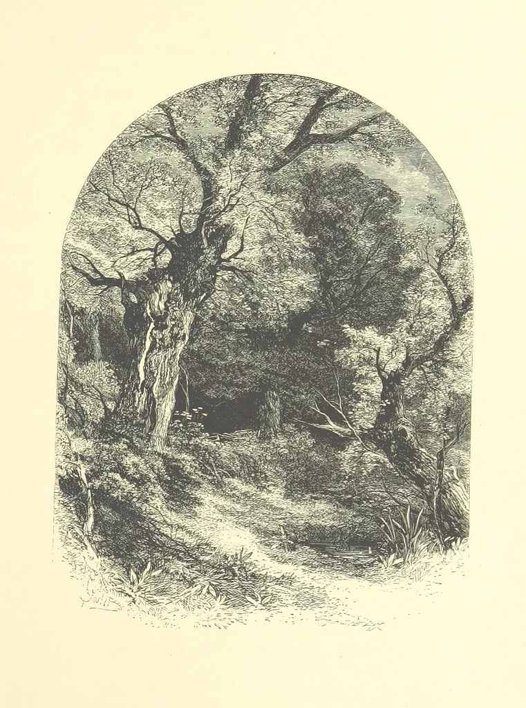 An illustration from Beauties of English landscape. Drawn by Birket Foster. Engraved by Dalziel Brothers, J. Cooper ... and others, 1874, leaf 105