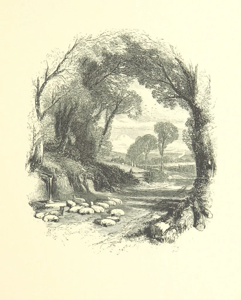An illustration from Beauties of English landscape. Drawn by Birket Foster. Engraved by Dalziel Brothers, J. Cooper ... and others, 1874, leaf 107