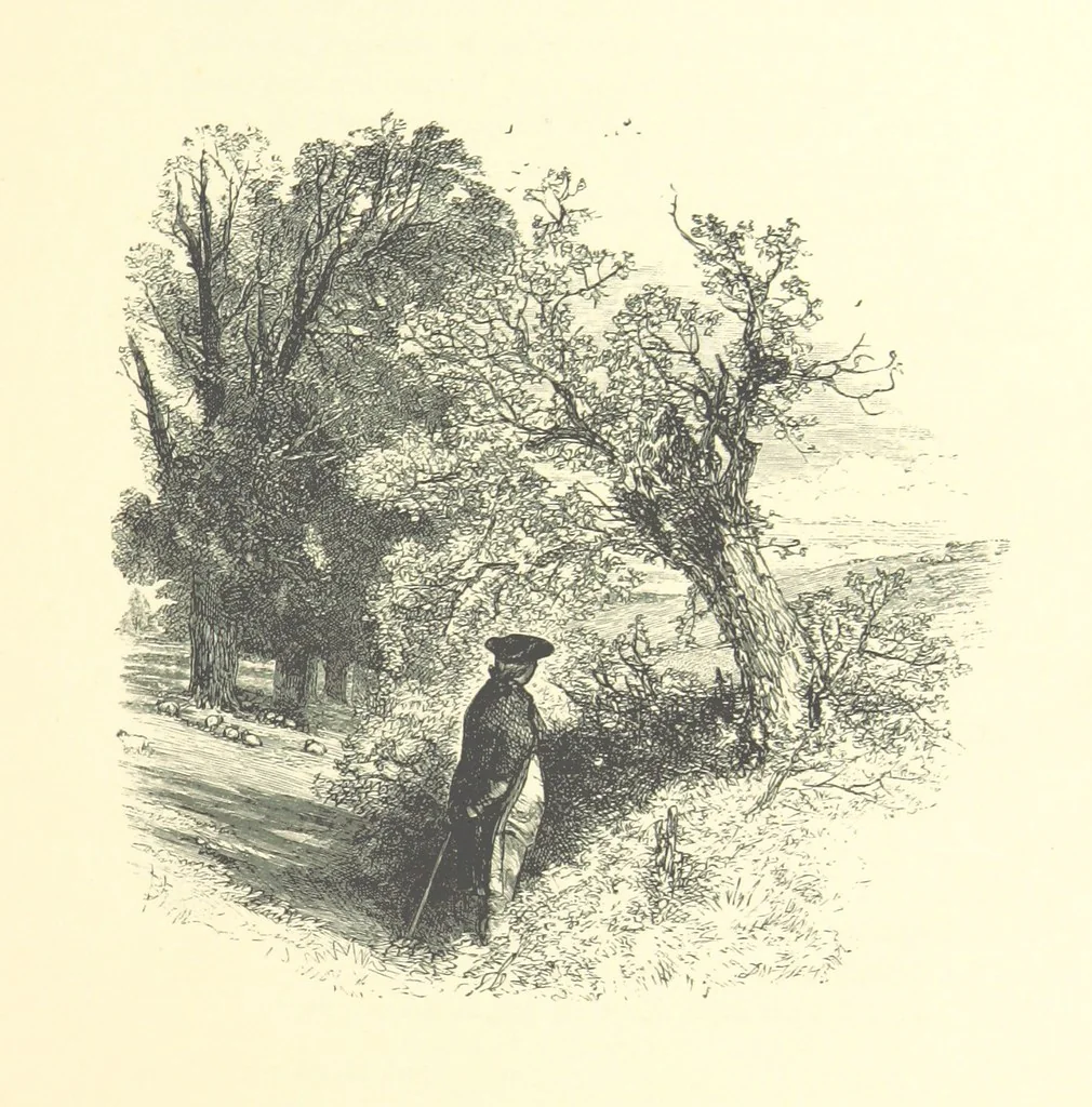An illustration from Beauties of English landscape. Drawn by Birket Foster. Engraved by Dalziel Brothers, J. Cooper ... and others, 1874, leaf 111