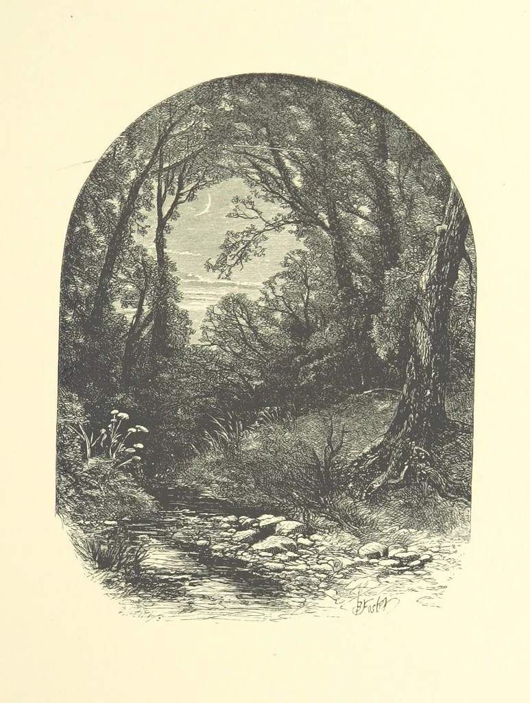 An illustration from Beauties of English landscape. Drawn by Birket Foster. Engraved by Dalziel Brothers, J. Cooper ... and others, 1874, leaf 123