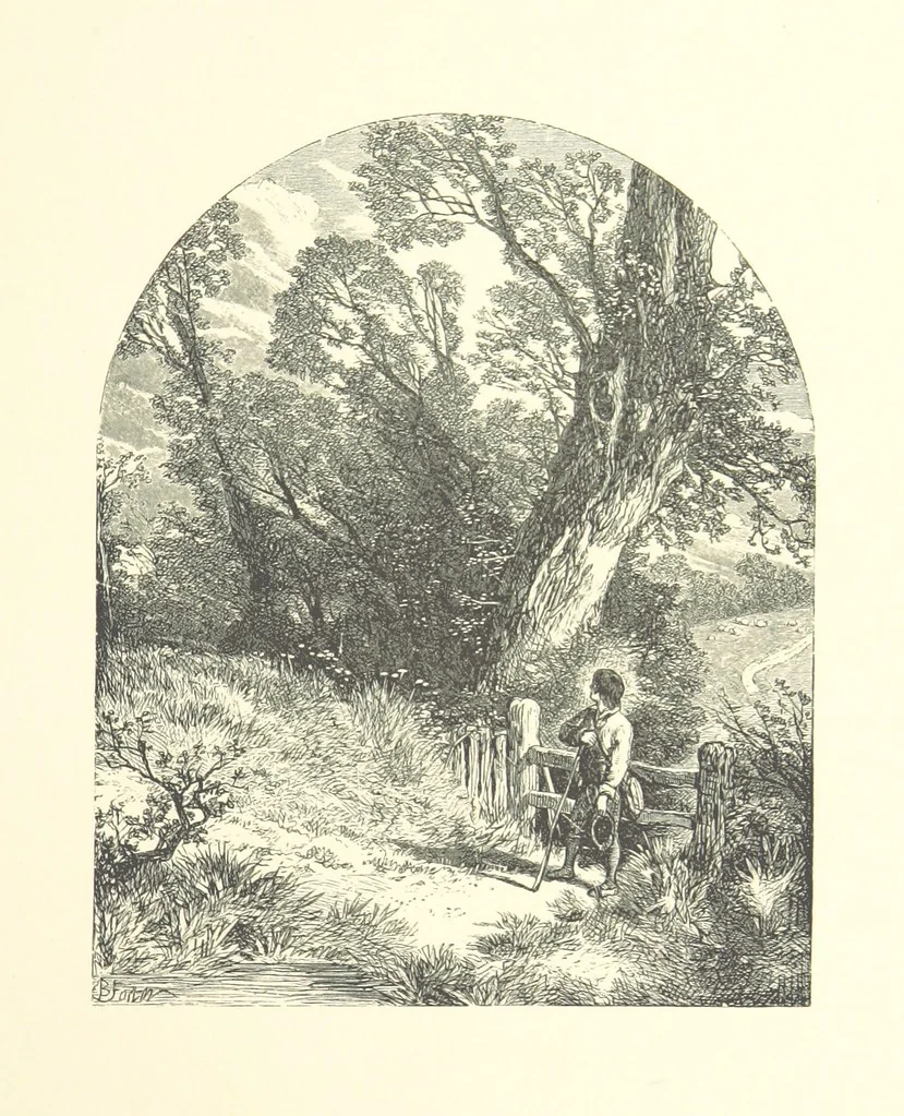 An illustration from Beauties of English landscape. Drawn by Birket Foster. Engraved by Dalziel Brothers, J. Cooper ... and others, 1874, leaf 143