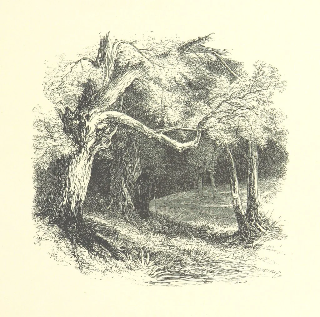 An illustration from Beauties of English landscape. Drawn by Birket Foster. Engraved by Dalziel Brothers, J. Cooper ... and others, 1874, leaf 145