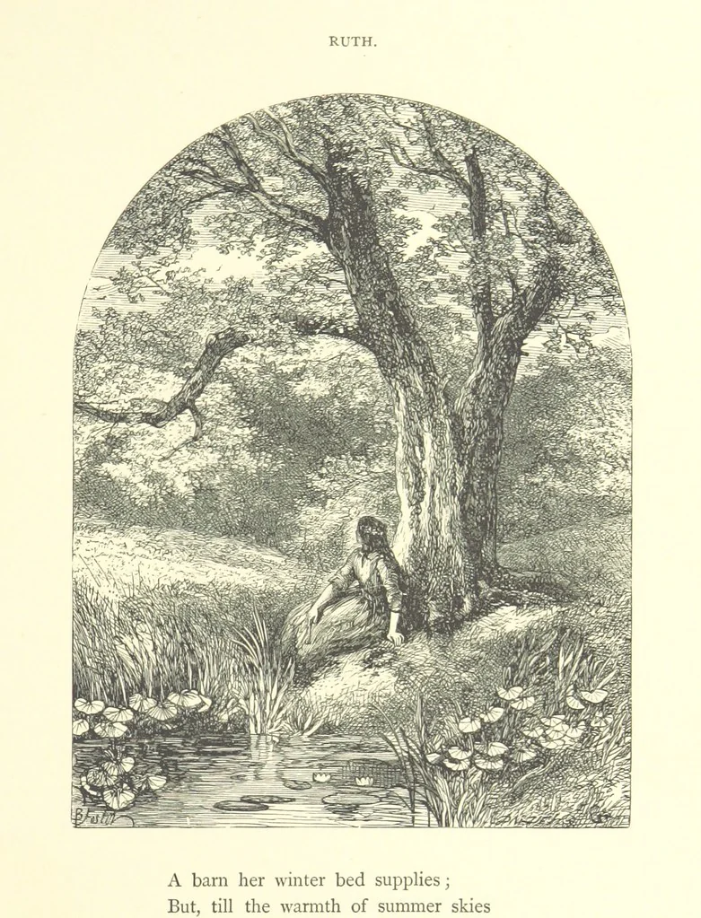 An illustration from Beauties of English landscape. Drawn by Birket Foster. Engraved by Dalziel Brothers, J. Cooper ... and others, 1874, leaf 149
