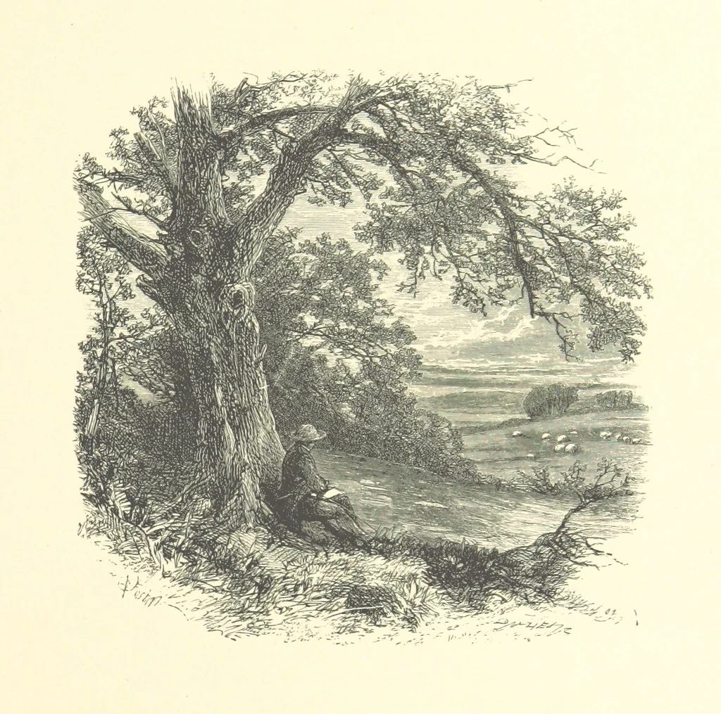 An illustration from Beauties of English landscape. Drawn by Birket Foster. Engraved by Dalziel Brothers, J. Cooper ... and others, 1874, leaf 157