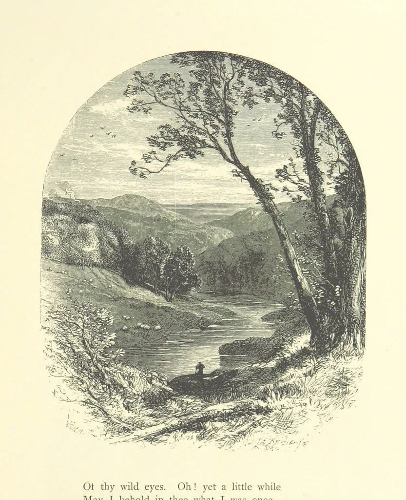 An illustration from Beauties of English landscape. Drawn by Birket Foster. Engraved by Dalziel Brothers, J. Cooper ... and others, 1874, leaf 159