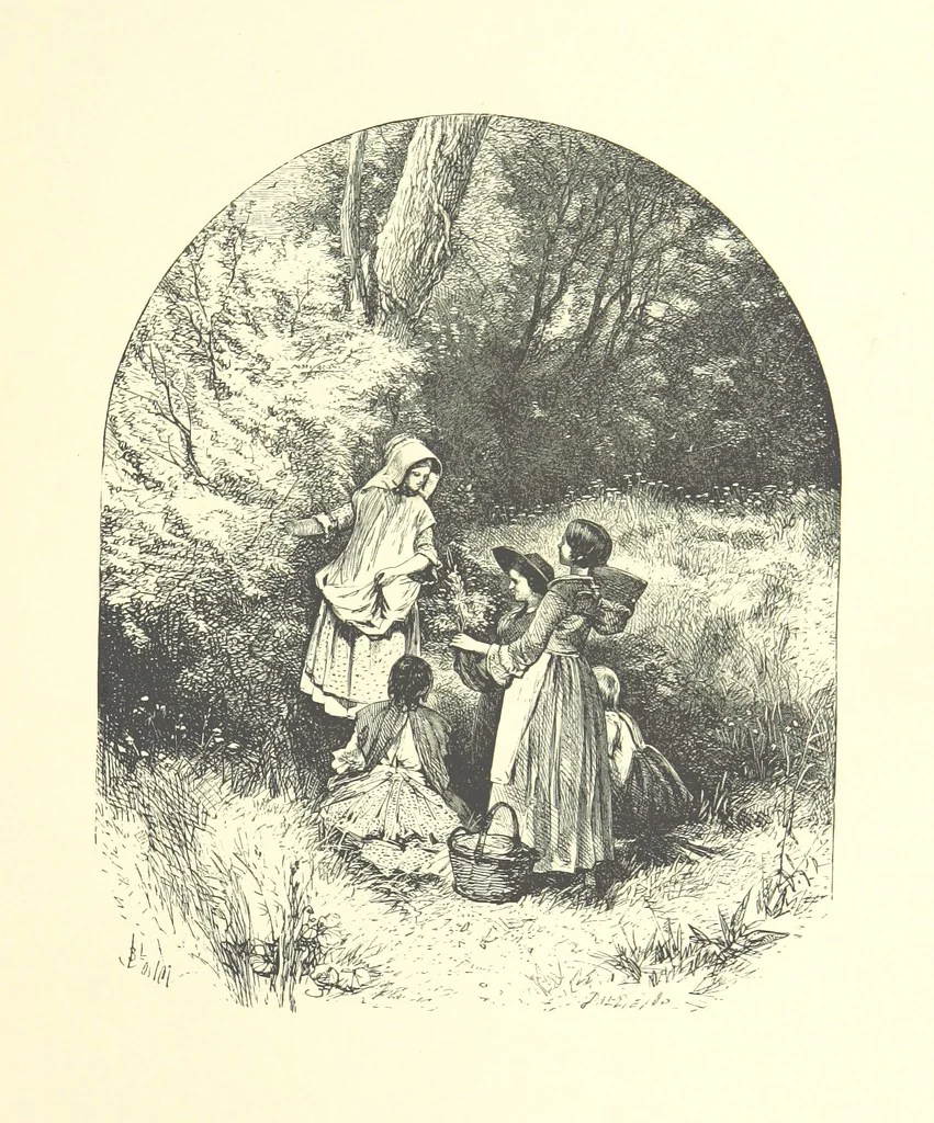 An illustration from Beauties of English landscape. Drawn by Birket Foster. Engraved by Dalziel Brothers, J. Cooper ... and others, 1874, leaf 171